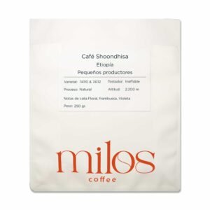 Café Shoondhisa