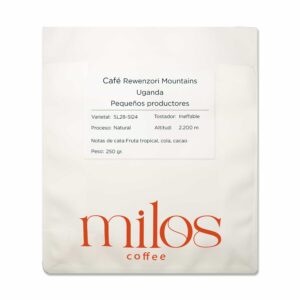 Café Rwenzori Mountains - Natural